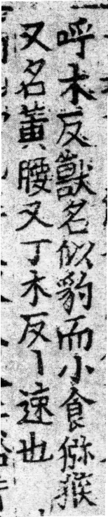 龍龕手鏡(高麗本) 殳部．頁194