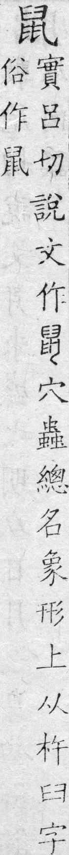 字鑑 卷三．上聲．八語．頁49．左