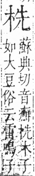 字彙 卷六．木部．頁31．右