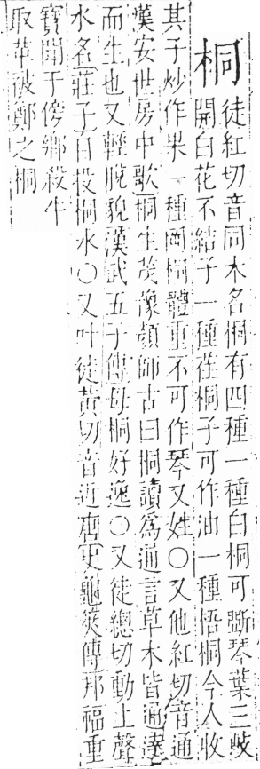 字彙 卷六．木部．頁32．左