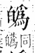 字彙 卷八．白部．頁46．左