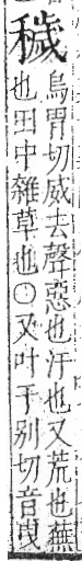 字彙 