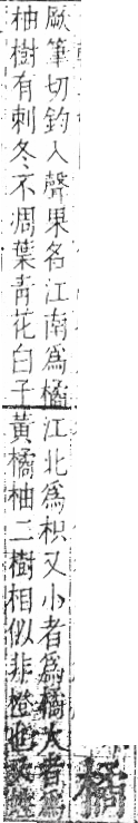 字彙 卷六．木部．頁55．右