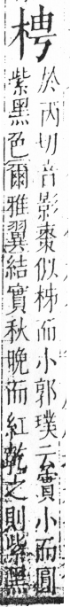 字彙 