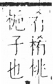 字彙 卷六．木部．頁40．左