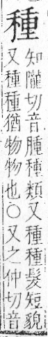 字彙 