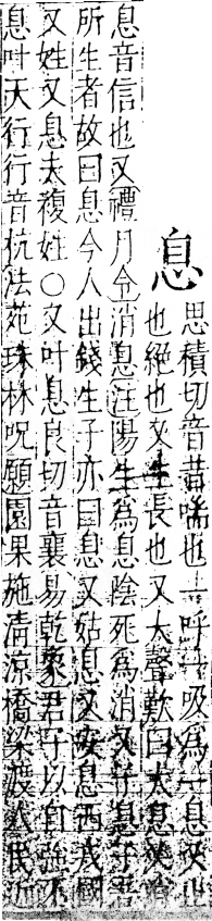 字彙 