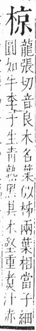 字彙 