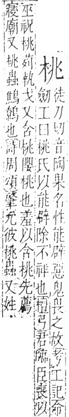 字彙 卷六．木部．頁32．右