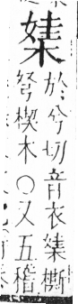 字彙 