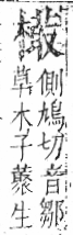 字彙 卷六．木部．頁53．左