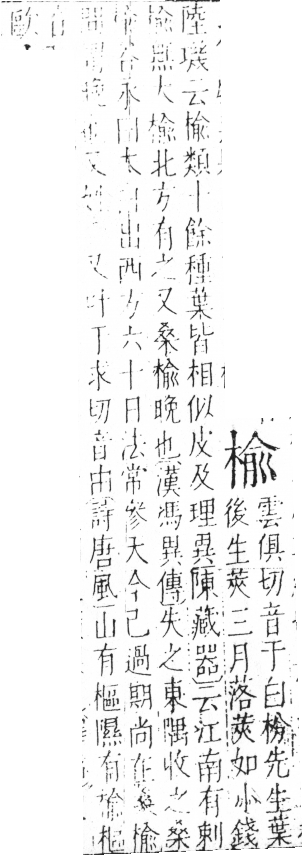 字彙 卷六．木部．頁44．左