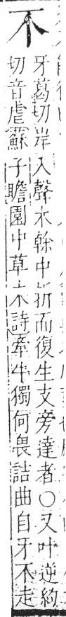 字彙 