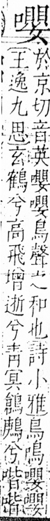 字彙 