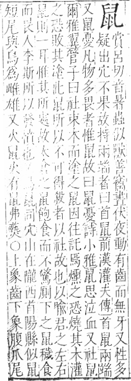 字彙 