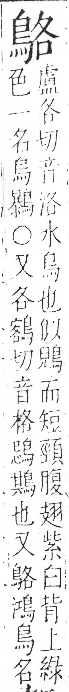 字彙 卷一三．鳥部．頁48．右