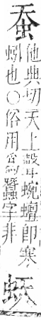 字彙 