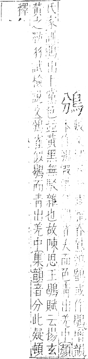 字彙 卷一三．鳥部．頁44．右