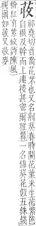 字彙 卷一○．艸部．頁11．左