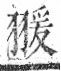 字彙 