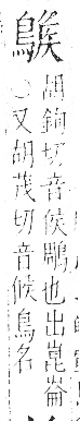 字彙 卷一三．鳥部．頁52．右