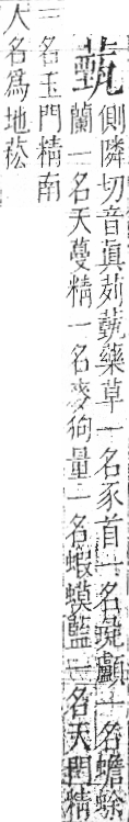 字彙 卷一○．艸部．頁44．右