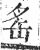 字彙 