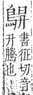 字彙 卷一三．鳥部．頁51．右