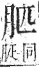 字彙 卷九．肉部．頁78．右