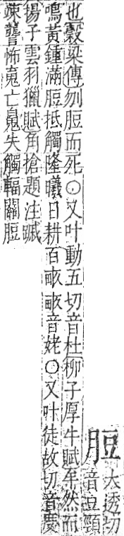 字彙 卷九．肉部．頁84．右