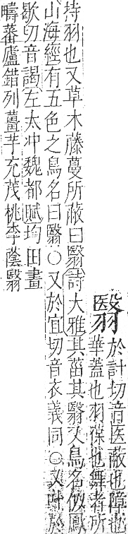 字彙 卷九．羽部．頁64．右