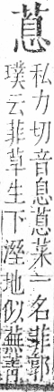 字彙 