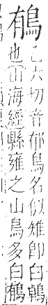 字彙 卷一三．鳥部．頁48．右