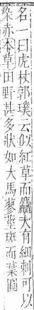 字彙 卷一○．艸部．頁28．右