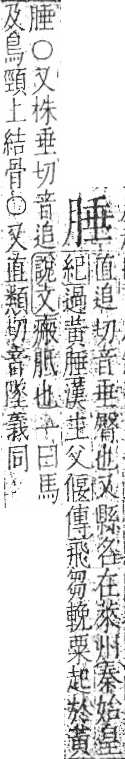 字彙 卷九．肉部．頁84．左