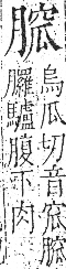 字彙 卷九．肉部．頁88．左