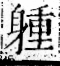 字彙 