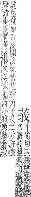 字彙 卷一○．艸部．頁16．右