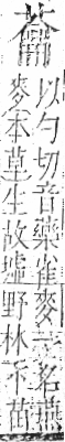 字彙 