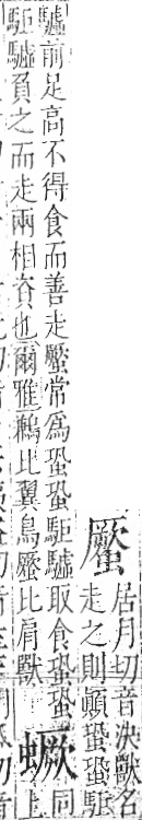 字彙 卷一○．虫部．頁75．左