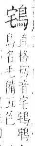 字彙 卷一三．鳥部．頁48．右