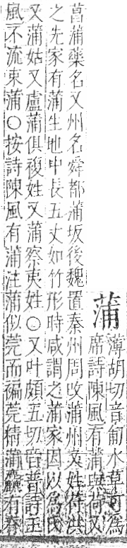 字彙 卷一○．艸部．頁29．右