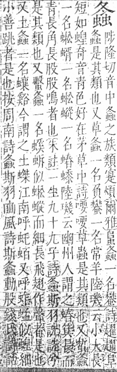 字彙 