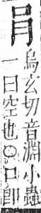 字彙 