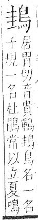 字彙 