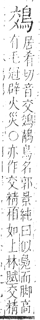 字彙 