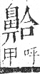 字彙 