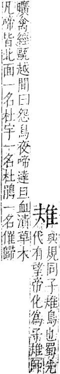 字彙 卷一二．隹部．頁40．右