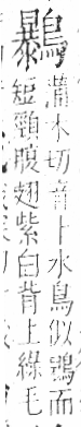 字彙 卷一三．鳥部．頁59．右