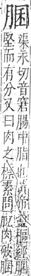 字彙 卷九．肉部．頁85．右